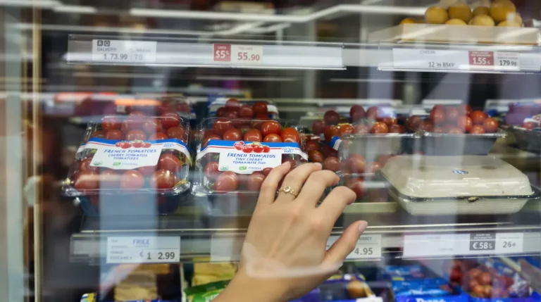 « C’est exceptionnel » : pourquoi la tomate cerise française domine sa concurrente marocaine « C’est exceptionnel » : pourquoi la tomate cerise française domine sa concurrente marocaine