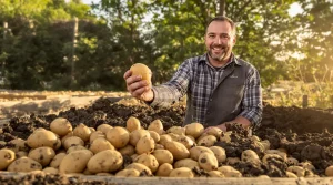 « On est un peu comme les Tuche » : sa passion pour la pomme de terre devient une réussite à Concremiers