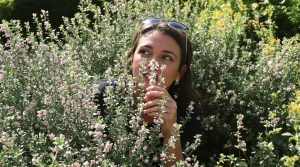 Faut-il laisser son thym fleurir pour garder un maximum d’arôme ? La vérité sur le bon moment