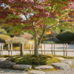 découvrez tout ce qu'il faut savoir sur l'arbre du japon : ses caractéristiques, son entretien et les conseils pour le cultiver facilement dans votre jardin.